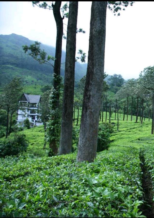 Bed and Breakfast Gruenberg Tea Plantation Haus Munnar Exteriér fotografie