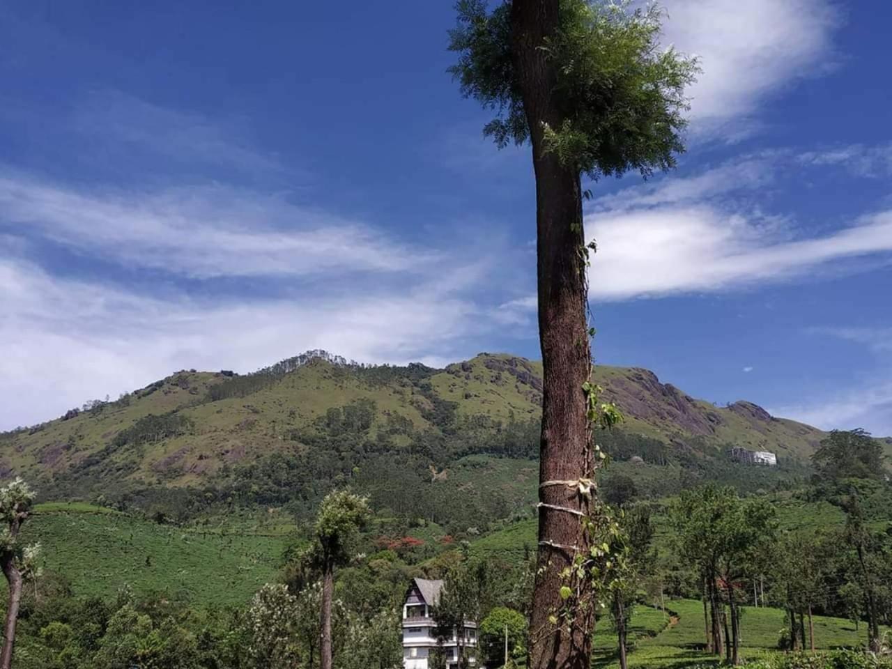 Bed and Breakfast Gruenberg Tea Plantation Haus Munnar Exteriér fotografie